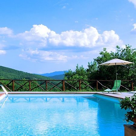 Agriturismo Badia Ficarolo 팔라쪼 델 페로 외부 사진