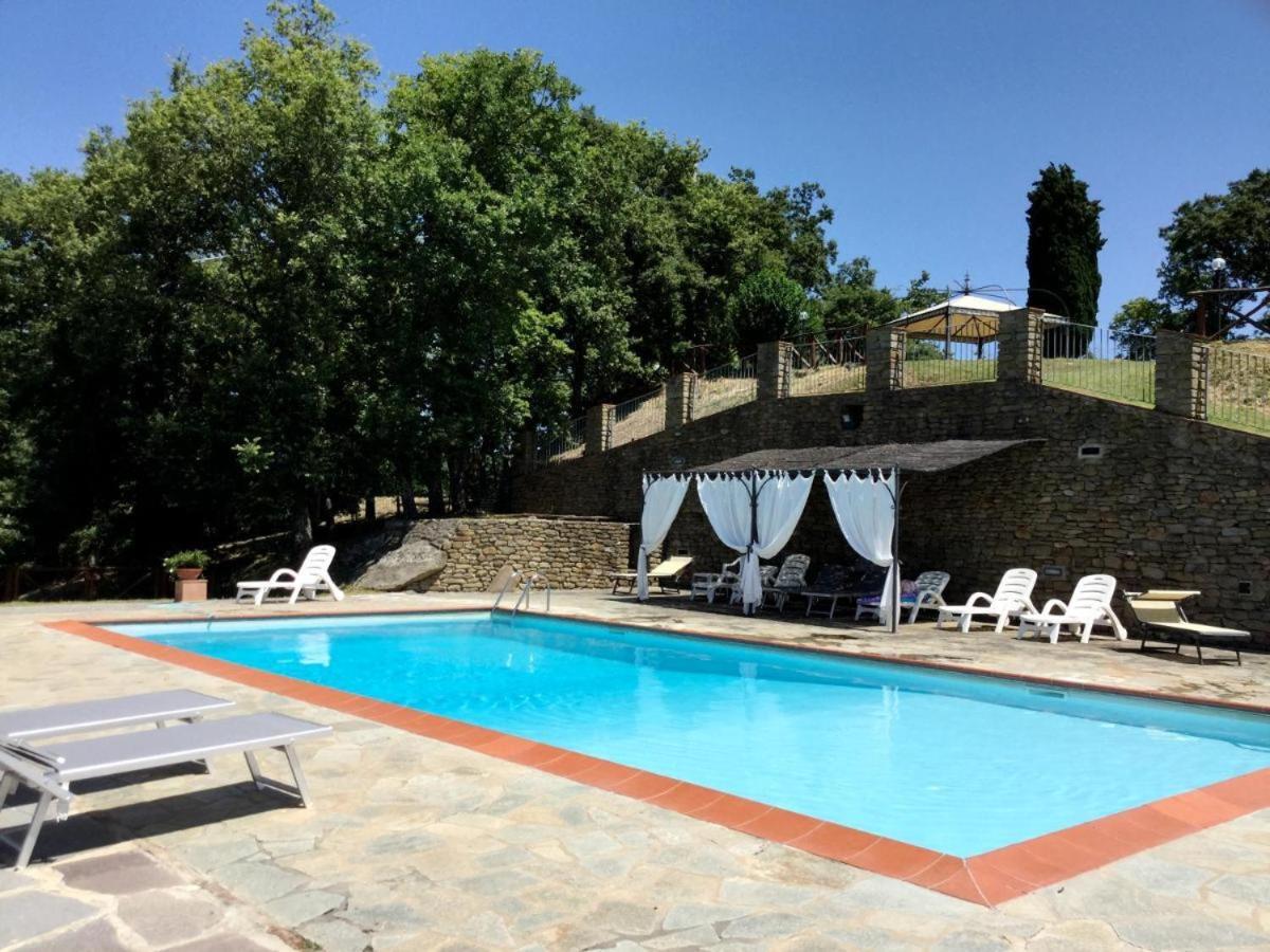 Agriturismo Badia Ficarolo 팔라쪼 델 페로 외부 사진