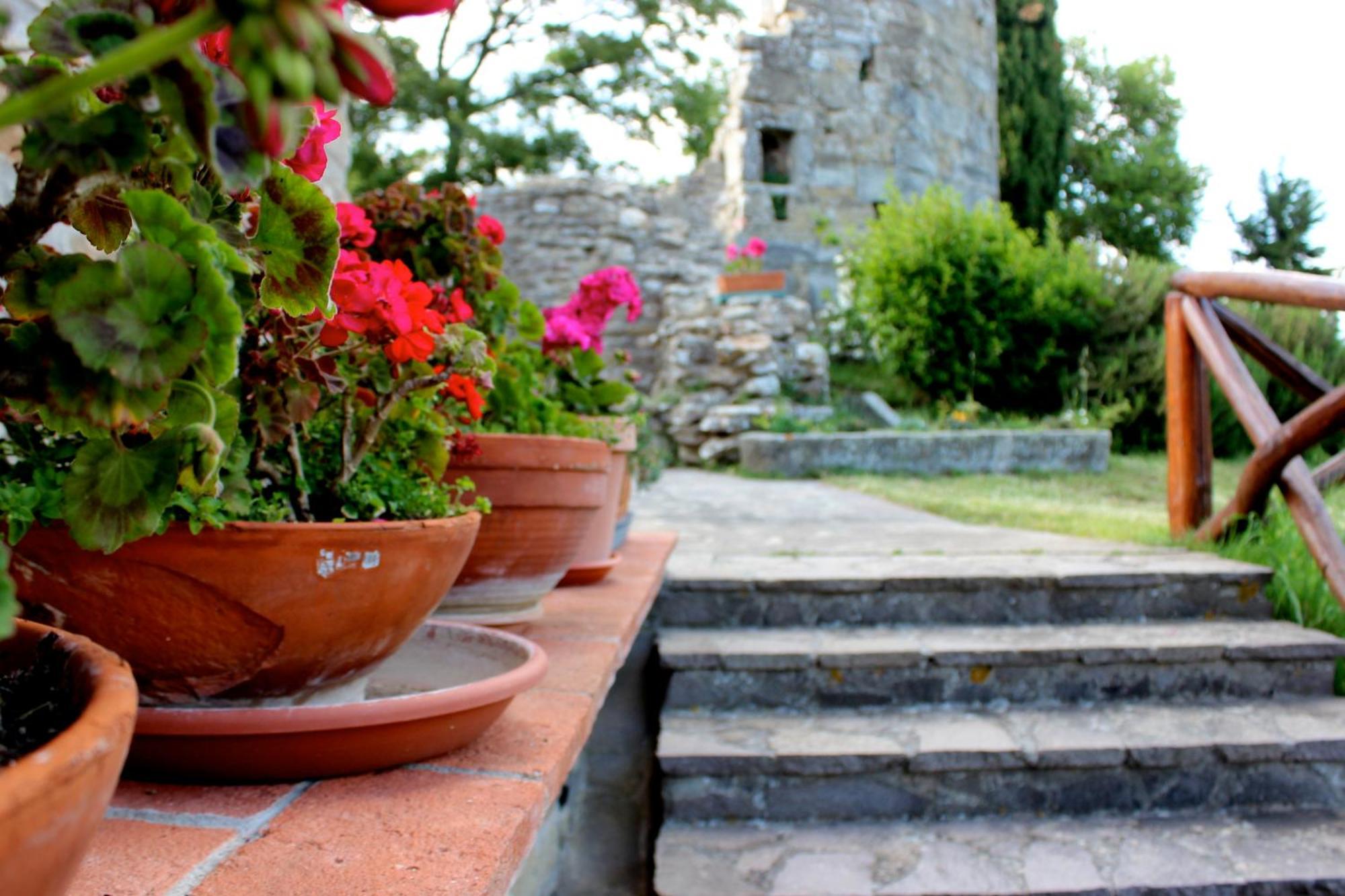 Agriturismo Badia Ficarolo 팔라쪼 델 페로 외부 사진